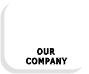 Our Company